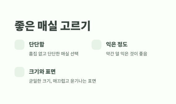 매실장아찌 담그는법 꿀팁 2