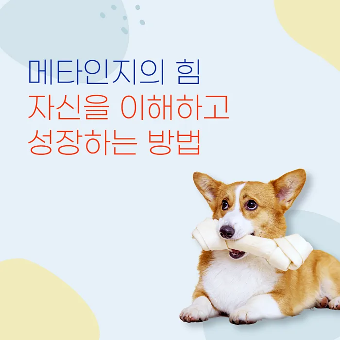  메타인지의 힘 - 자신을 이해하고 성장하는 방법