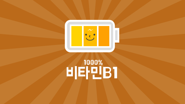  비타민B1 효능 및 추천