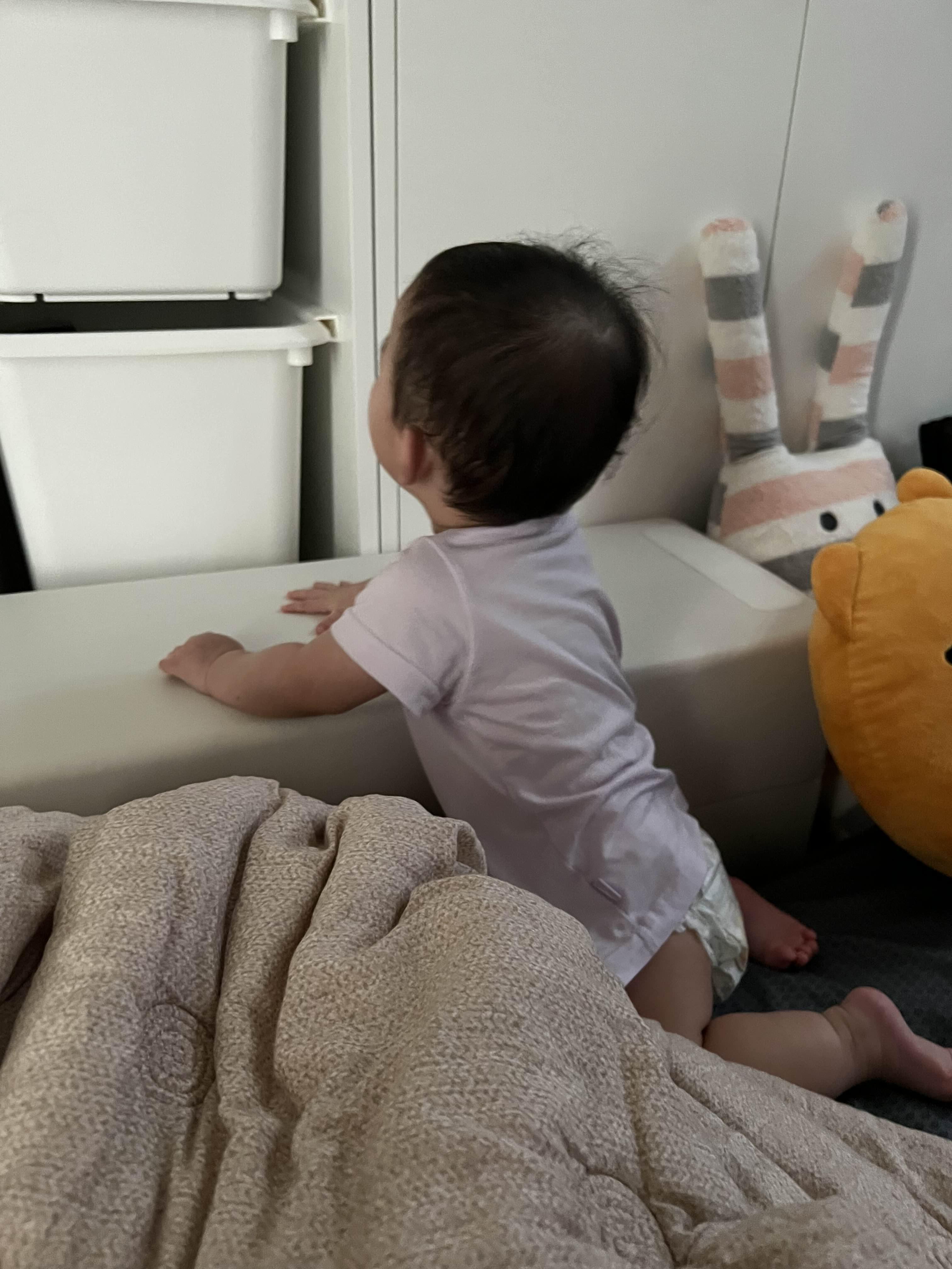 D+327, 발달 늦는 아기 복덩이 근황(앞니 두개 뿅뿅,폭풍 잡고 일어서기 중)