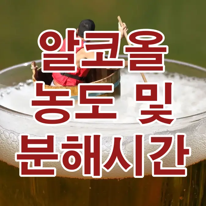 알코올 분해-
거품가득한 맥주 잔 안 남자가 배를 타고 노젓는 모습