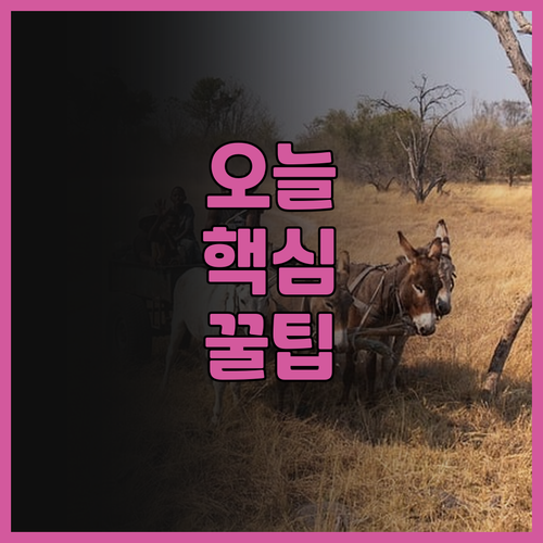 튠 호텔 조지타운 페낭 솔직 후기..