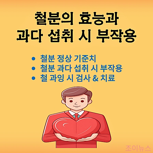 철분의 효능과 과다 섭취 시 부작용 및 치료