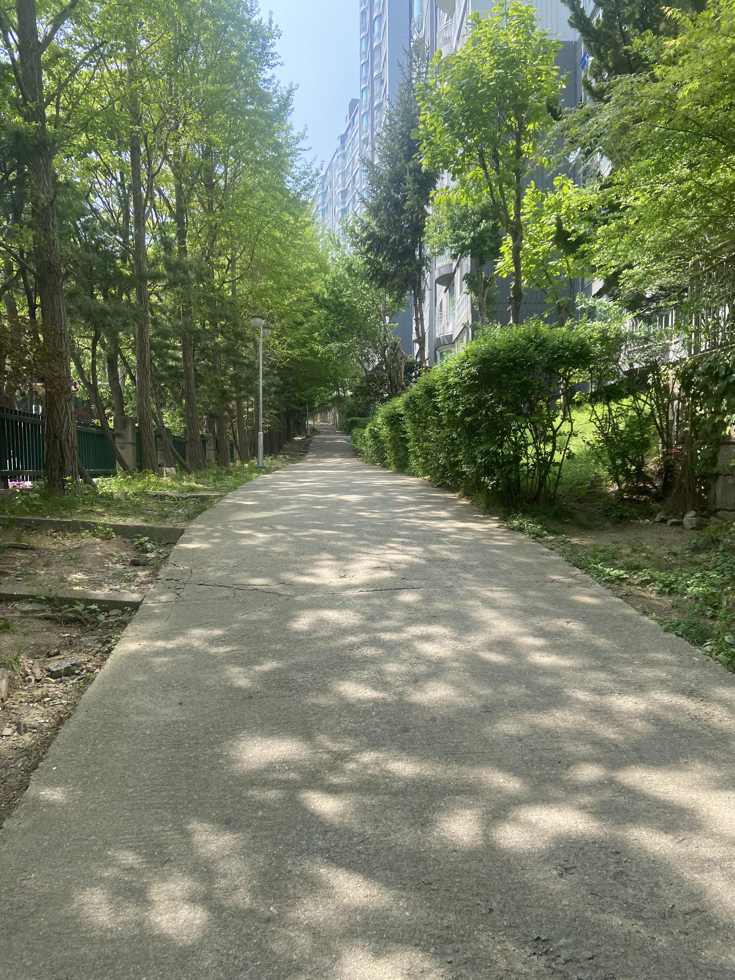  블로그를 한다는 것