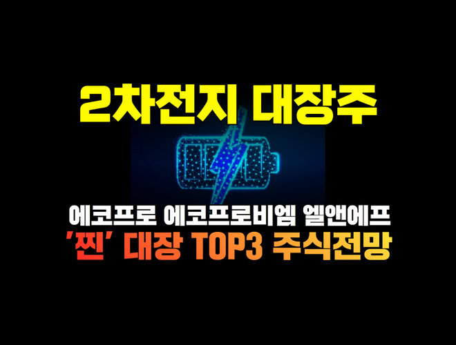 2차전지 관련주 대장주 에코프로 17