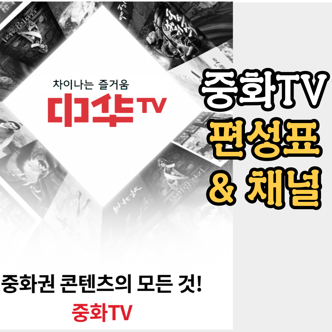 중화TV 편성표-채널