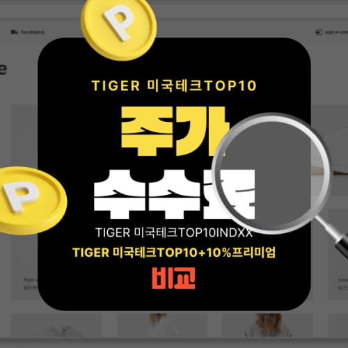 TIGER 미국테크TOP10INDXX