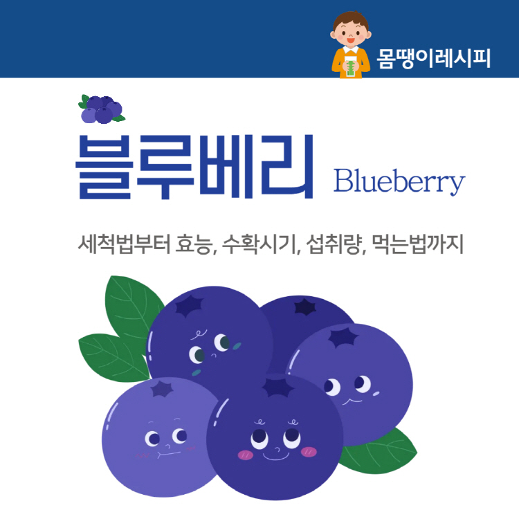 블루베리 세척법부터 효능 수확시기 하루 섭취량 먹는법까지 완벽 정리