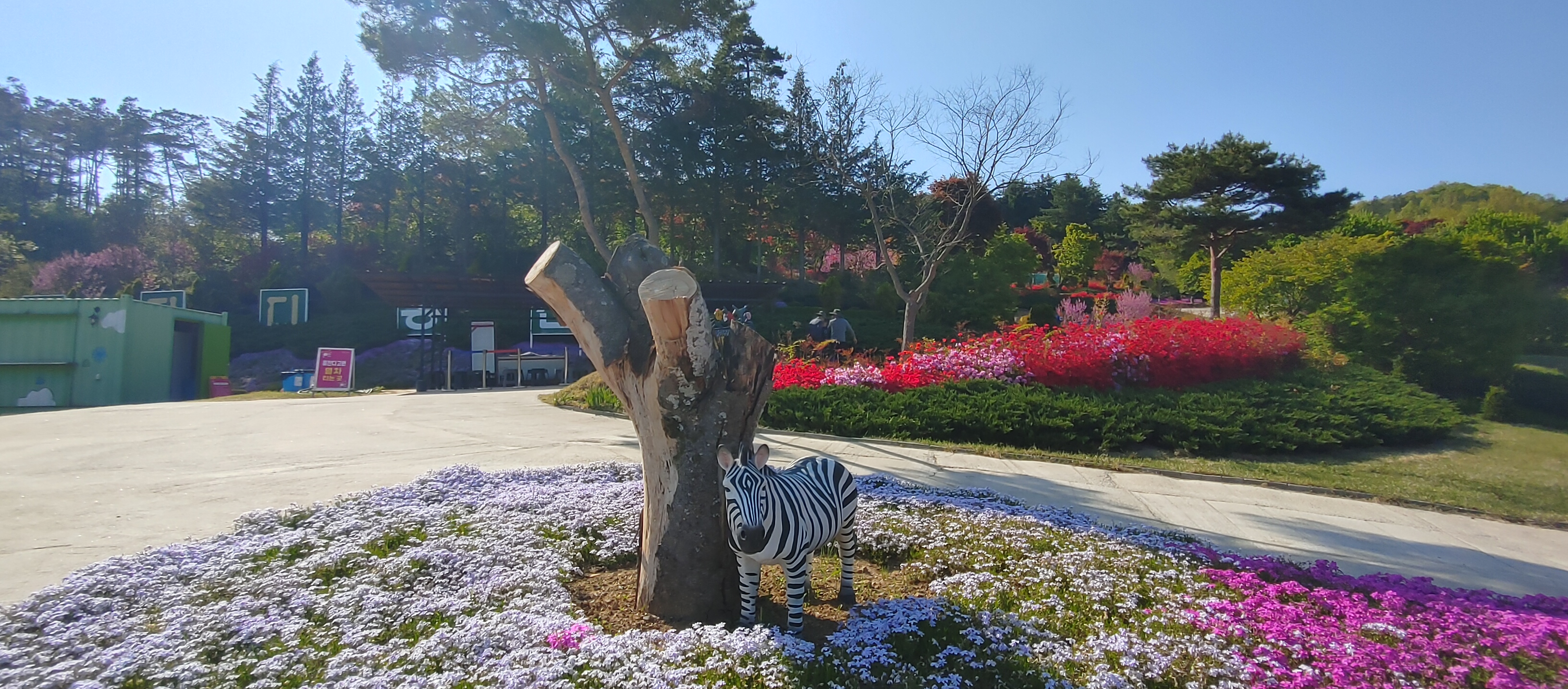 동산잔디 이미지