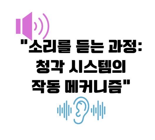 소리를 듣는 과정: 청각 시스템의 작동 메커니즘