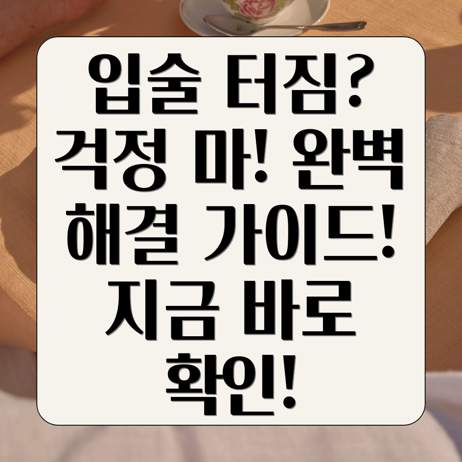 입술 터짐