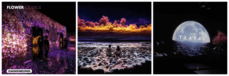 아르떼뮤지엄 사진