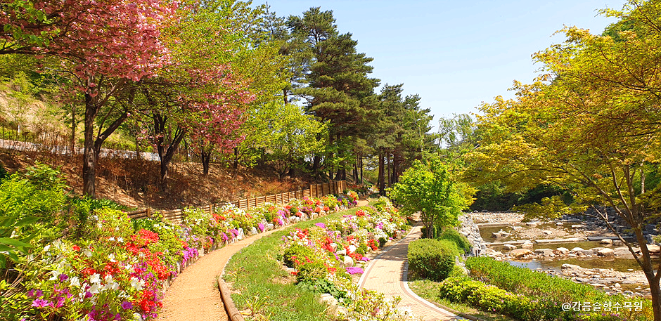 산 옆 산책길 옆으로 꽃들이 피어있다.