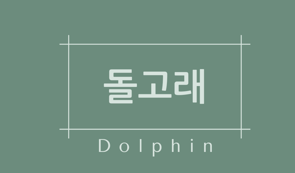 돌고래(Dolphin)