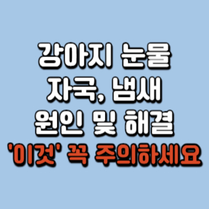 강아지-눈물자국
강아지-눈물냄새