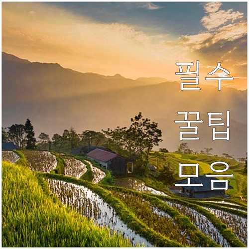 살라 다낭 비치 호텔 등 다낭 숙소 