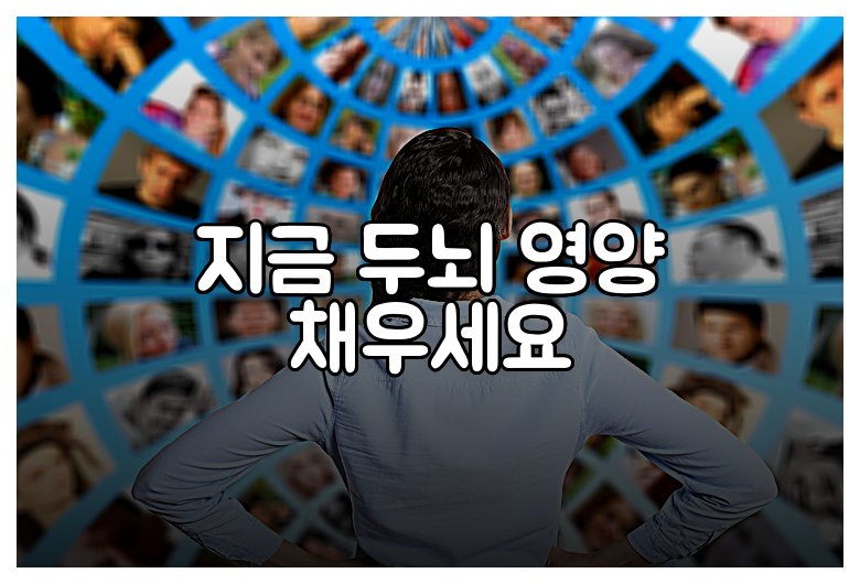 지금 두뇌 영양 채우세요