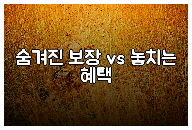숨겨진 보장 vs 놓치는 혜택