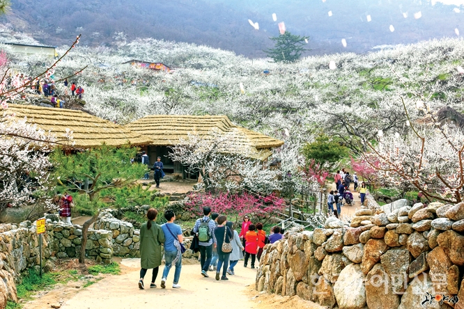 3월 여행하기 좋은 곳