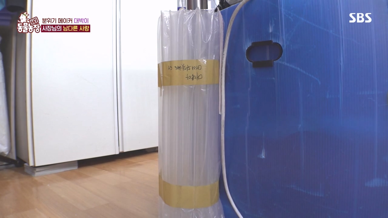 TV 동물농장.E1141.231016p-NEXT.mp4_20231015_174228.290.jpg