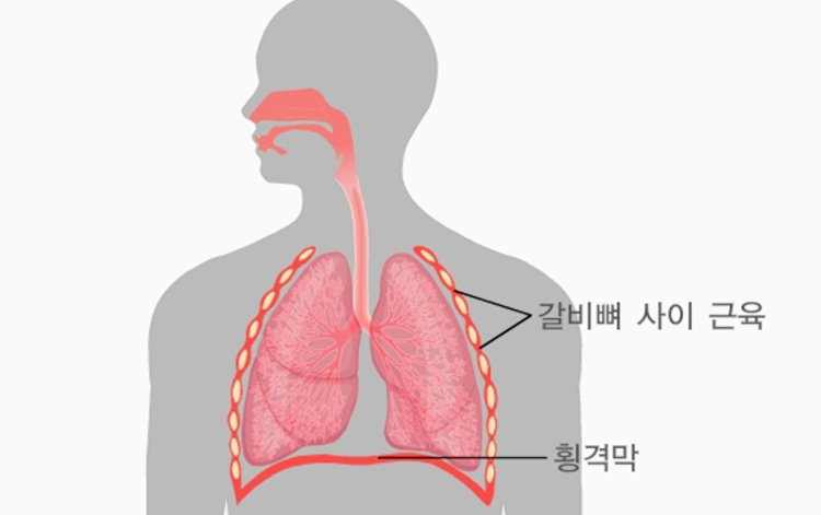 딸꾹질 증상 설명