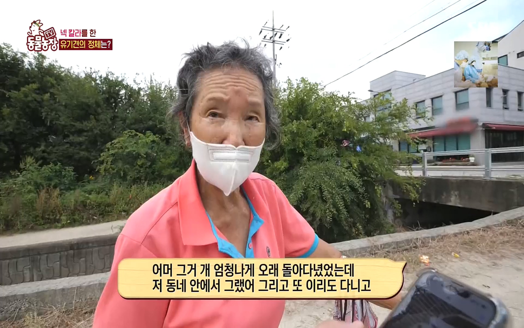 TV 동물농장.E1089.221002p.H264-F1RST.mp4_20221002_181930.956.jpg