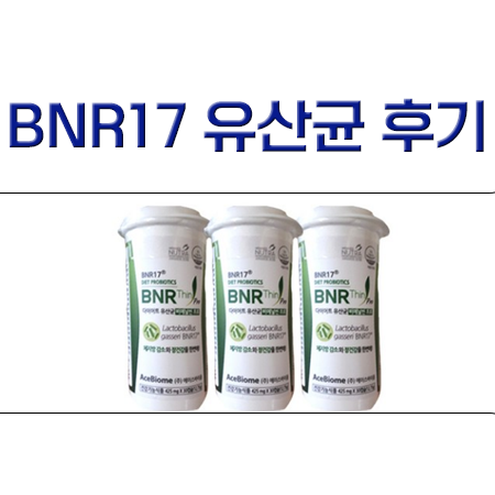 BNR17 유산균 후기