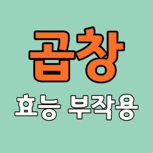 곱창 효능 부작용