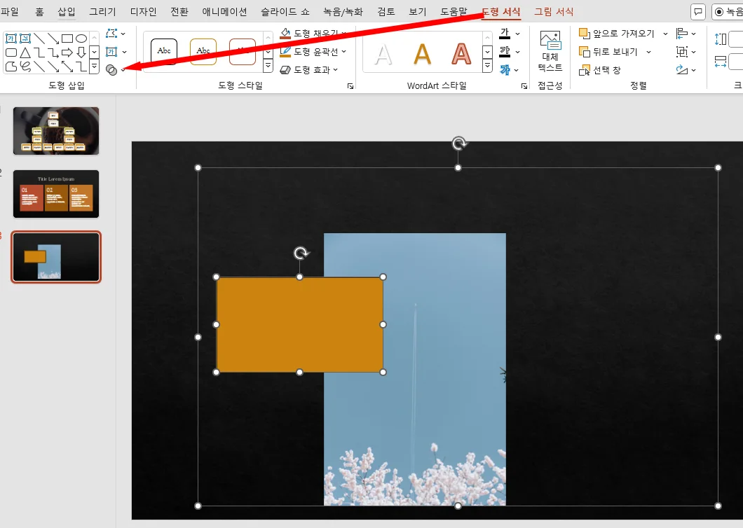ppt에서 사진과 도형을 겹쳐 놓은 모습