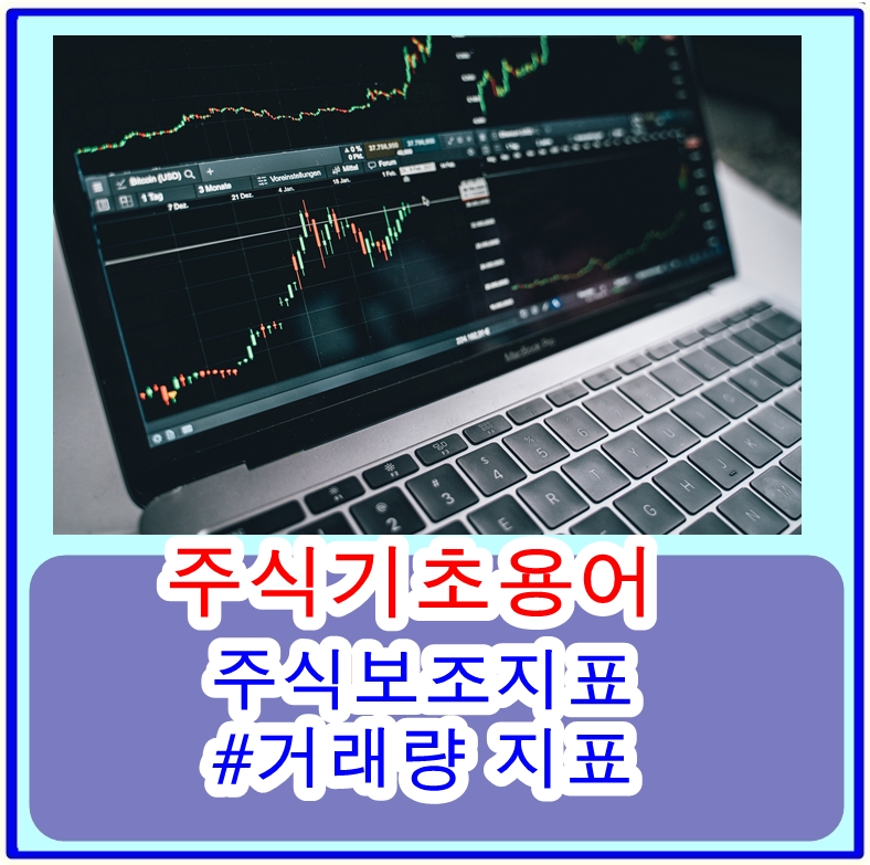  거래량 지표란 무엇이고 왜 중요한가? 주식 초보자를 위한 가이드
