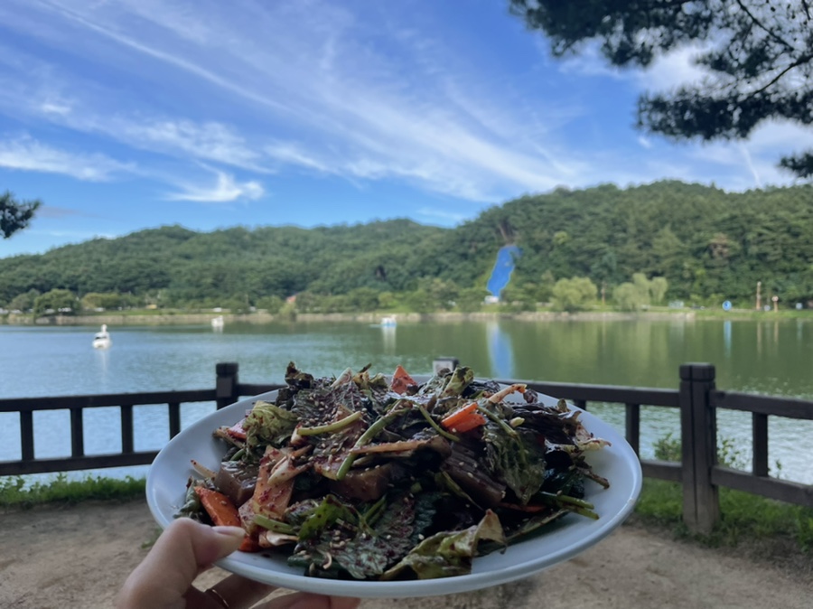 충청도1박2일여행지 [청주근교여행]제천의림지_충청도여행지추천 :