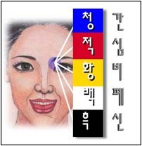 유주의 흐름 순서 유주의 흐름 순서