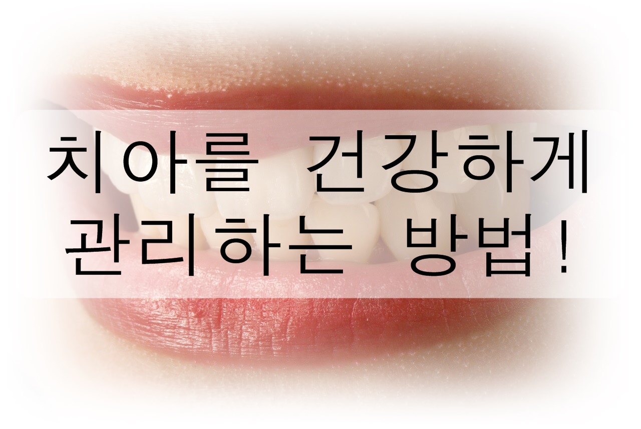  치아를 건강하게 관리하는 방법! (안 좋은 습관, 좋은 습관)