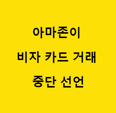 아마존 비자 카드 주가