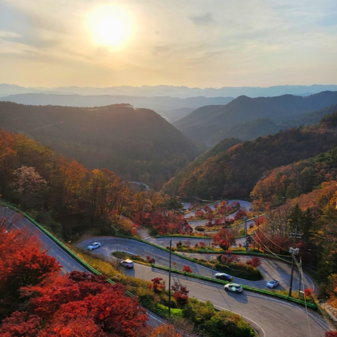 속리산 단풍