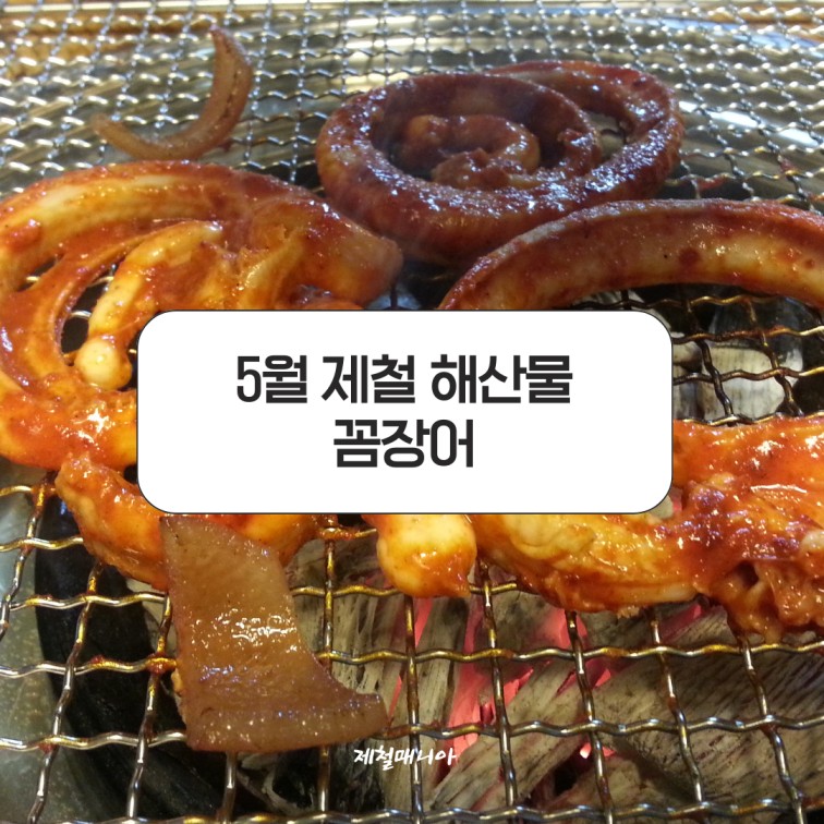 꼼장어
