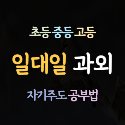  서산 석남동 고등 영어과외 동문동 중학생 수학과외 중등 초등 국어 과학 역사 한국사 사회 과외 일대일 내신