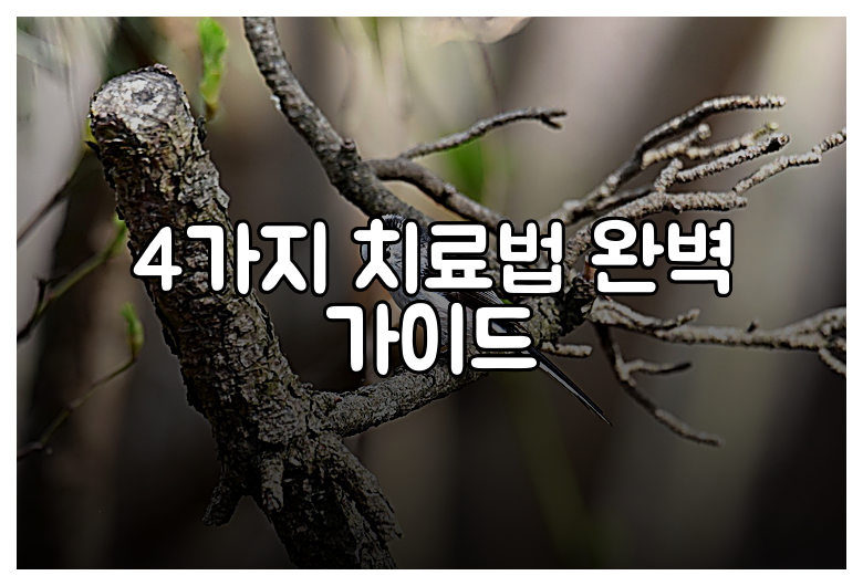 4가지 치료법 완벽 가이드