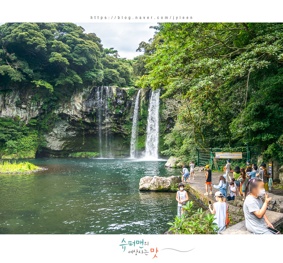 승합차렌트 제주도 24