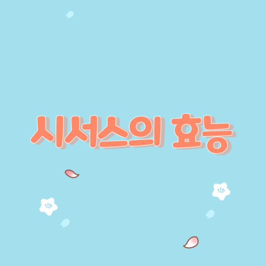  시서스의 역사와 건강 효능 및 섭취하는 방법