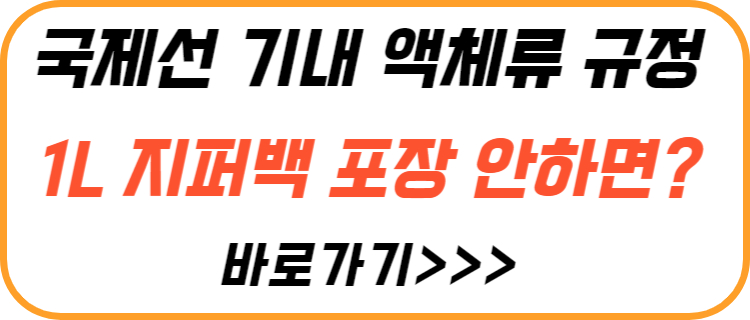 기내-액체류-규정