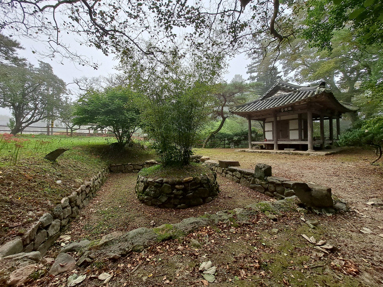  화순 임대정 원림&먹거리