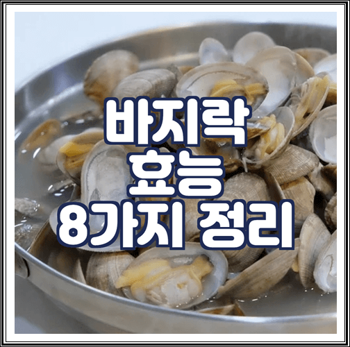  바지락 효능 8가지 정리