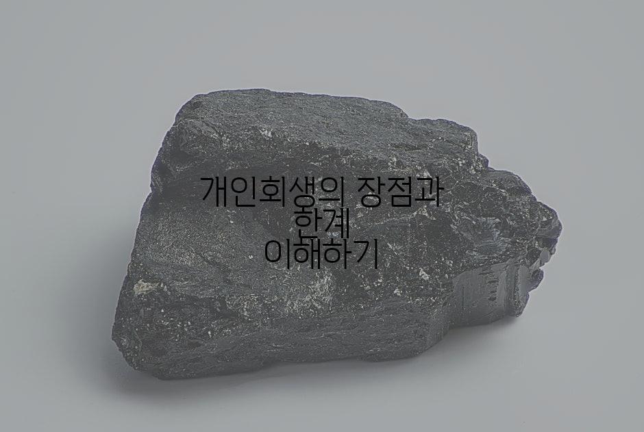 개인회생의 장점과 한계 이해하기