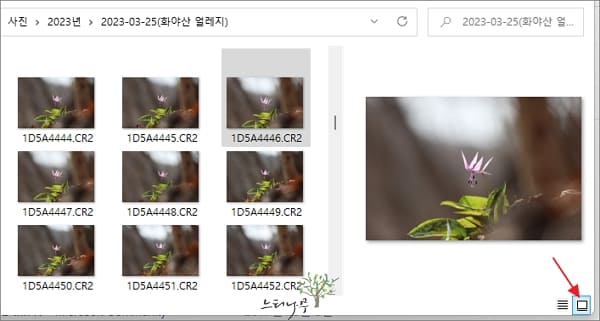 Windows 탐색기 2에서 RAW 파일 미리보기