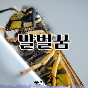 썸네일 사진