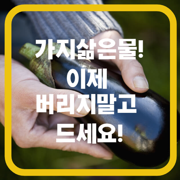  가지 삶은 물 효능!가지물 만들기 간단한 가지요리 추천