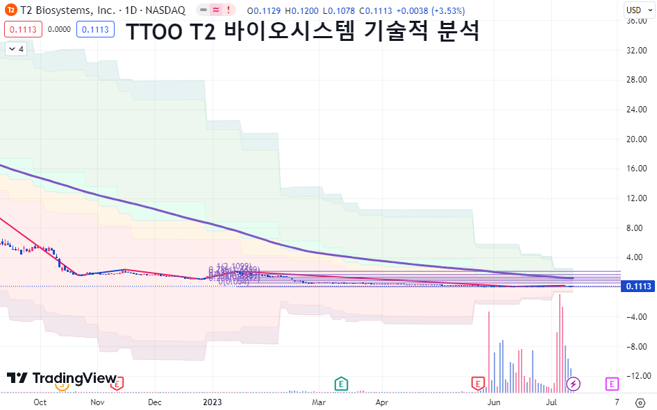 T2바이오시스템 TTOO 기술적 분석 주가 차트