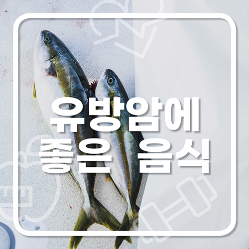  유방암에 좋은 음식
