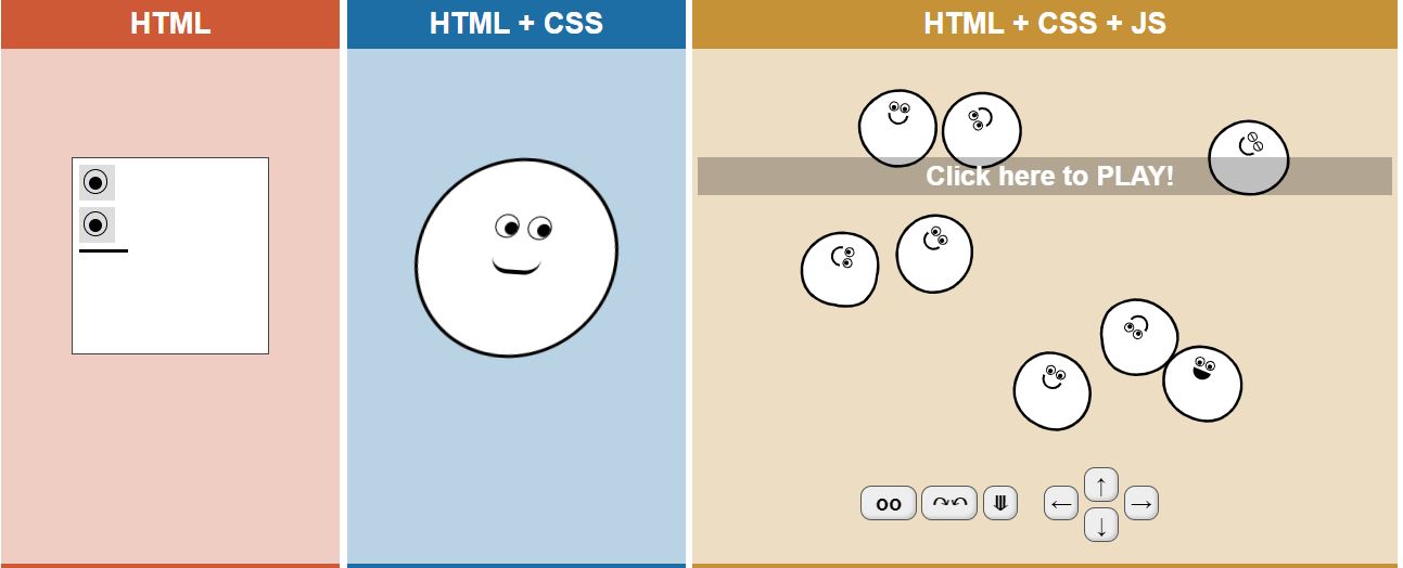  HTML,CSS,JS 그리고 프론트 엔드, 백엔드란